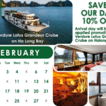 Verdure Lotus Grandeur Promotion in February