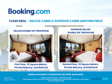 Booking.com Promotion: Deluxe Cabin & Superior Cabin - Uniform Price for Verdure Lotus Grandeur Cruise on Halong Bay