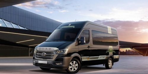 9 Seaters Limousine Bus 9 Seaters Limousine Bus