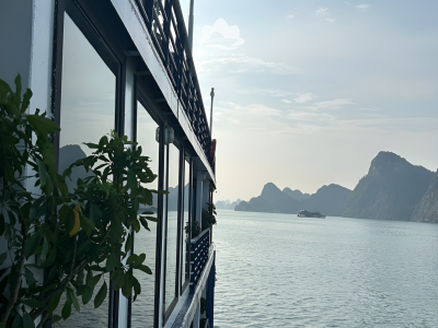 Cruise Overview 03