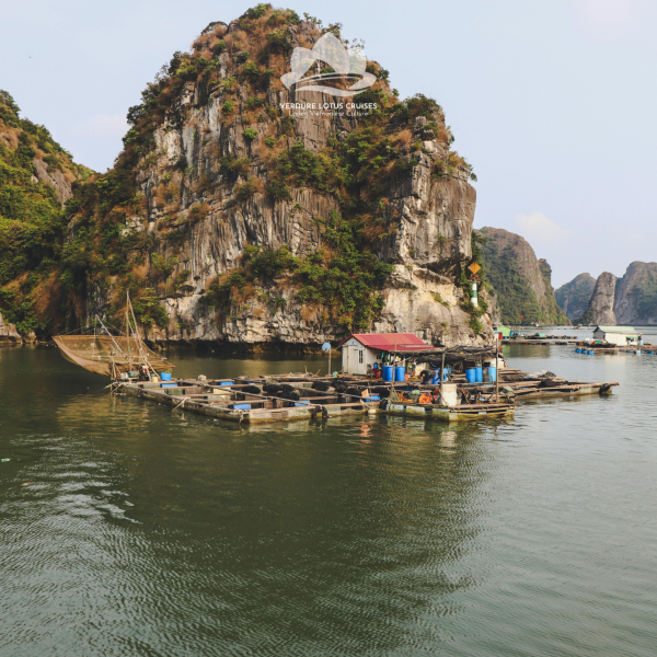 Tra Bau Floating Village Area on Lan Ha Bay.
