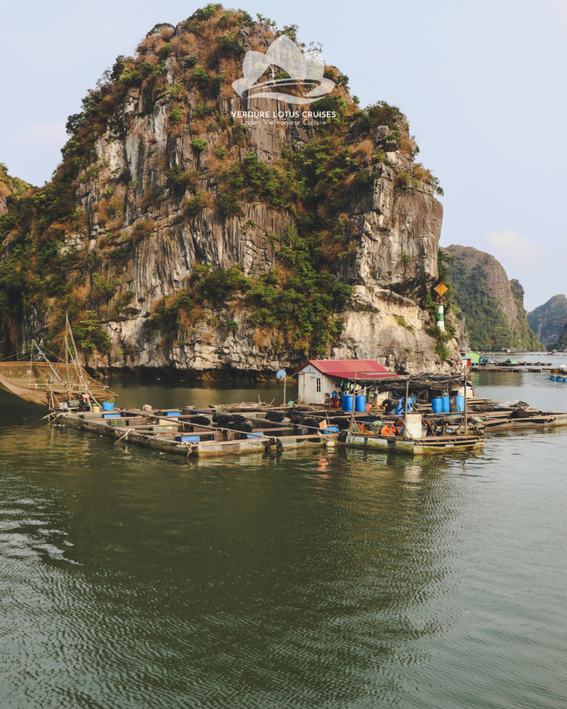 Tra Bau Floating Village Area on Lan Ha Bay.