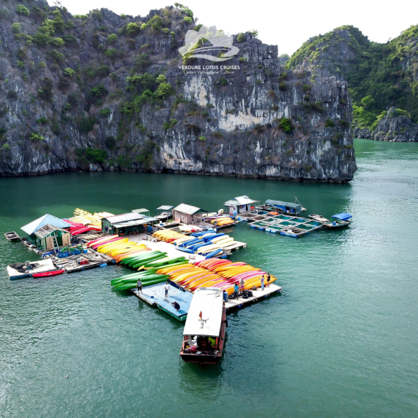Kayaking at Tra Bau Floating Village Area for Verdure Lotus Classic Cruise on Lan Ha Bay.
