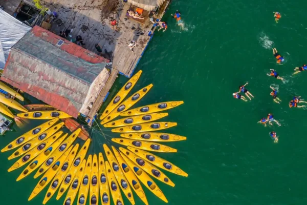 Aerial view of yellow kayaks arranged in a circular pattern near a dock with swimmers in green water
