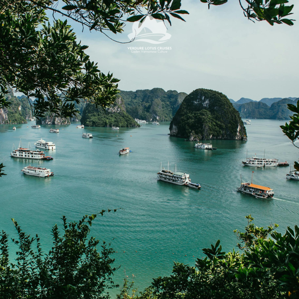Titop Island 05