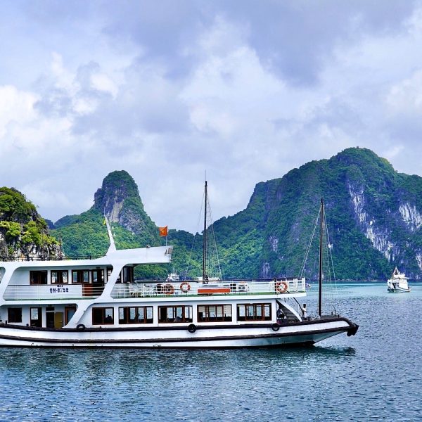 Wego Halong Bay One Day Cruise