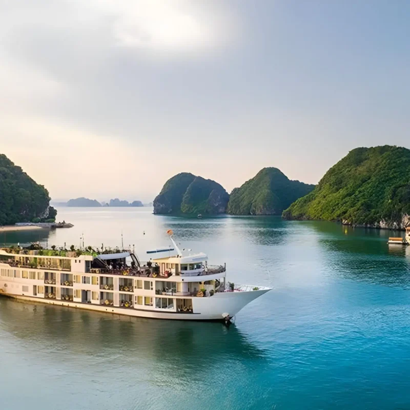 white cruise boat in scenic bay with green islands